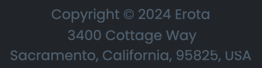 man in the high castle